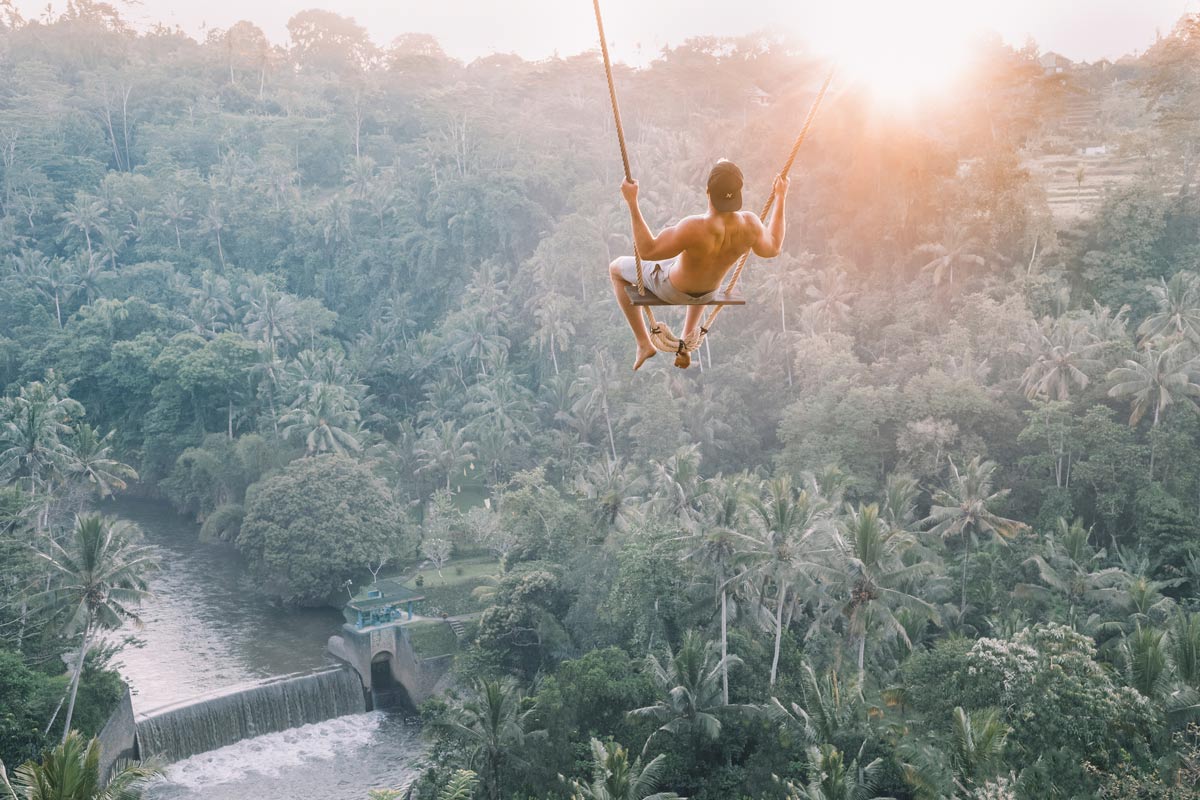 Bali forest