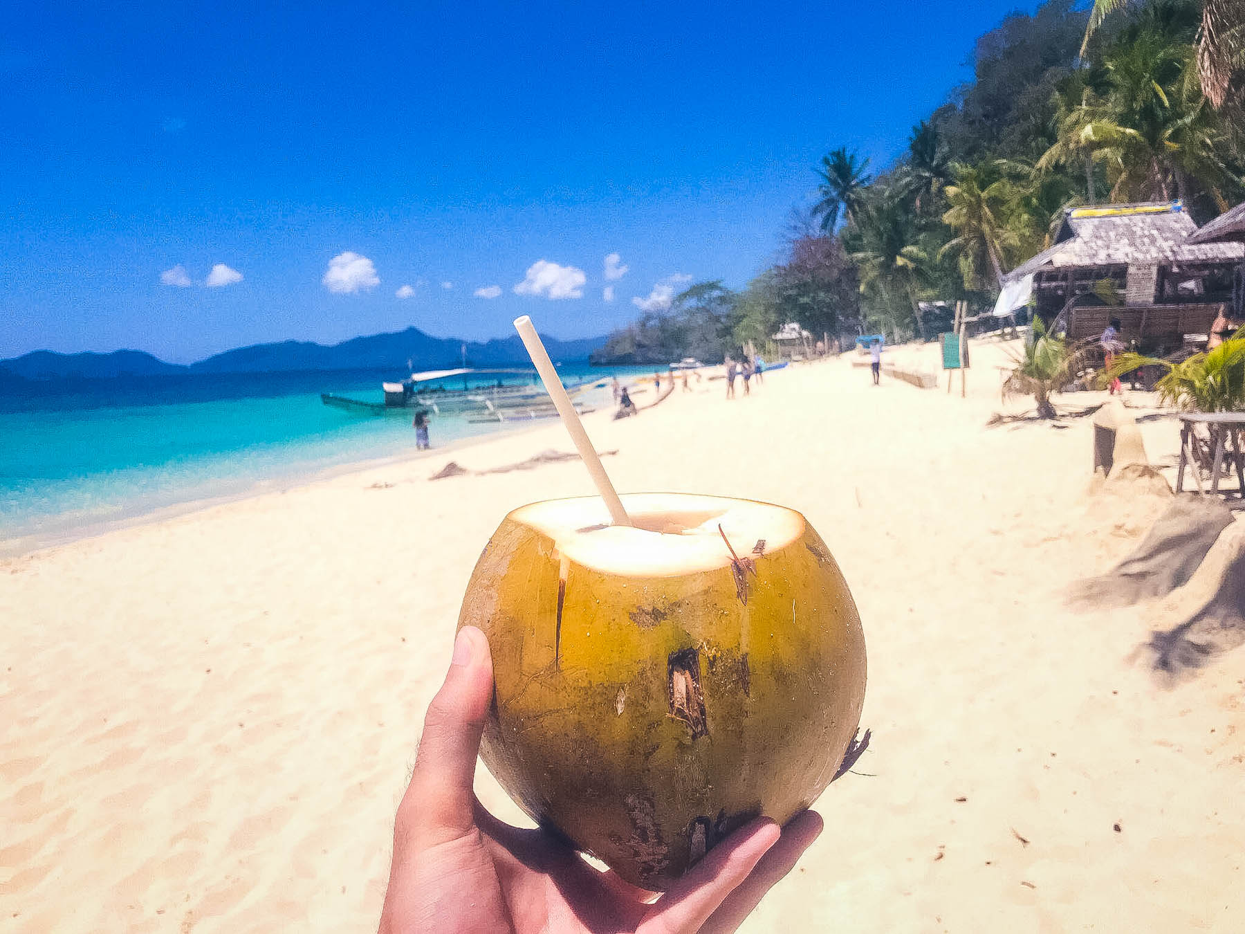 Coconut El Nido